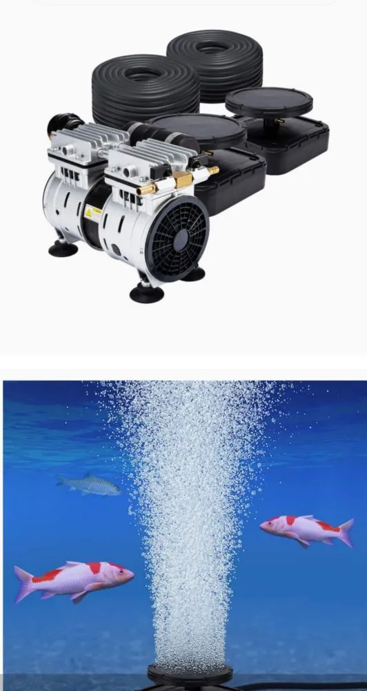 Trusted outdoor landscaping with custom design in Davie, FL by Waterboy Sprinkler Pros