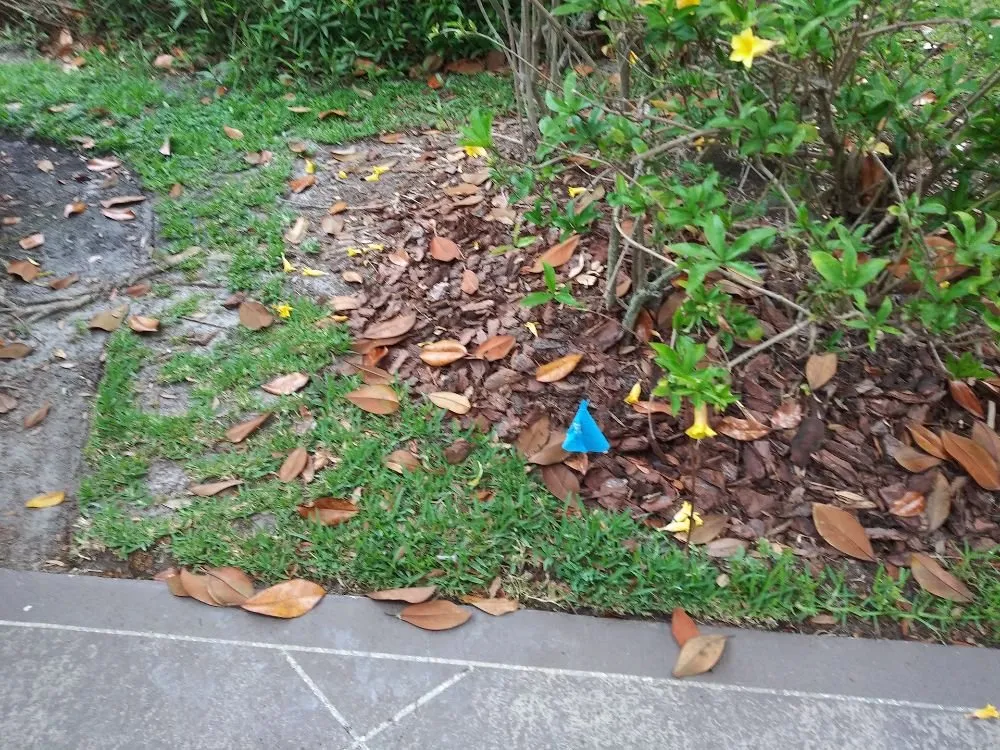 Local landscaping services in Parrish, FL - Waterboys irrigation repair
