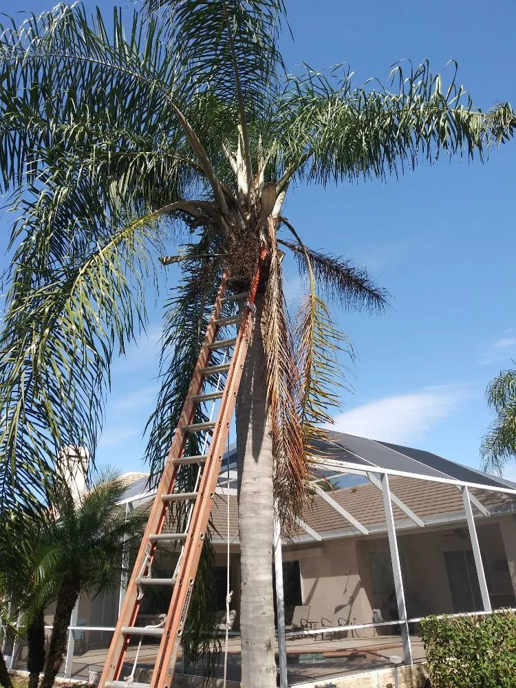 Local lawn mowing service in Parrish, FL by Waterboys irrigation repair