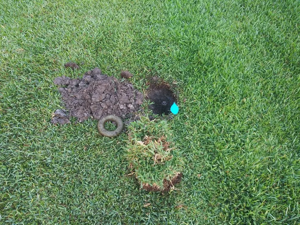 Custom landscape installation in Parrish, FL by Waterboys irrigation repair