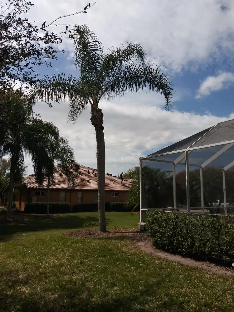 Local lawn mowing service in Parrish, FL - Waterboys irrigation repair