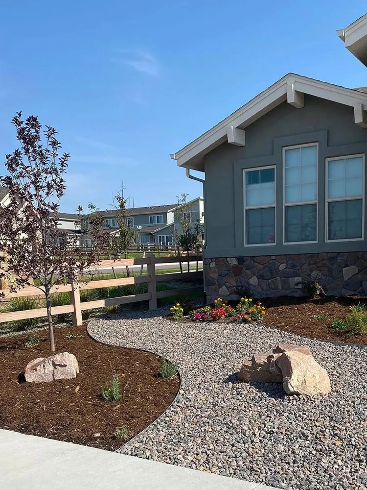 Professional yard cleanup service in Colorado Springs, CO by Waterbury Landscaping