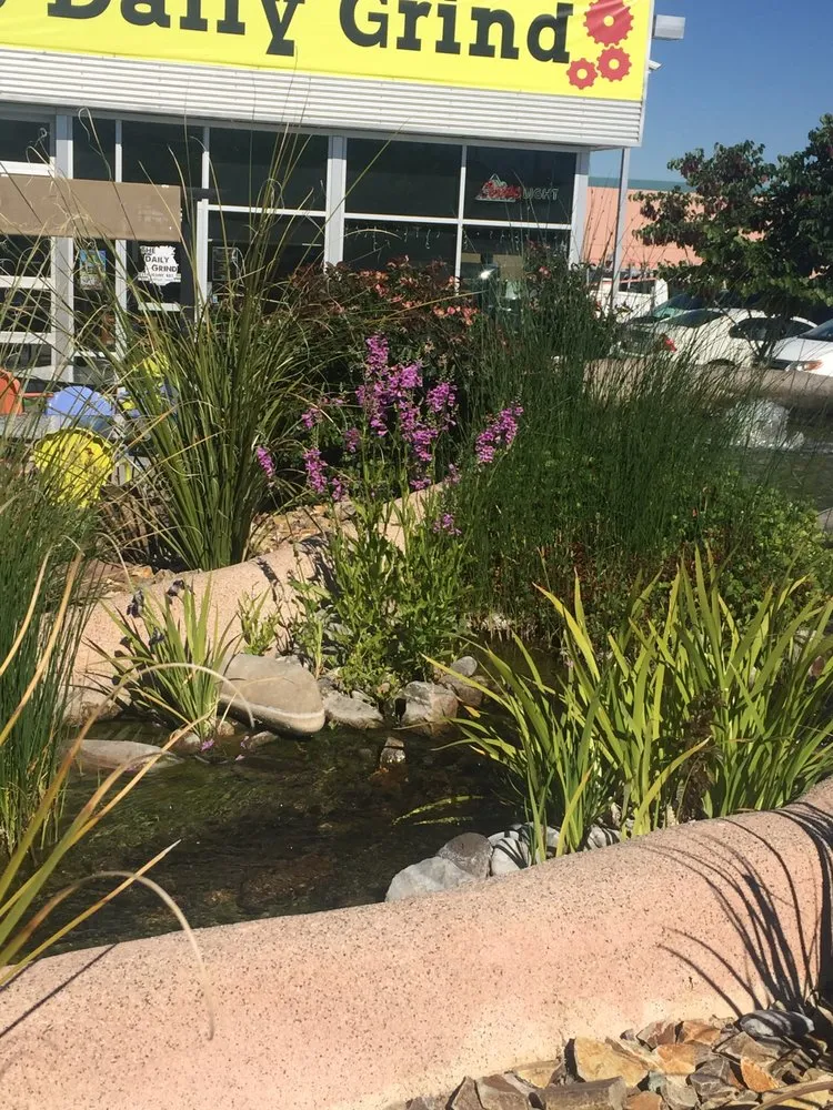 Expert lawn mowing service experts serving Albuquerque, NM - Watercolors Aquatic Farms