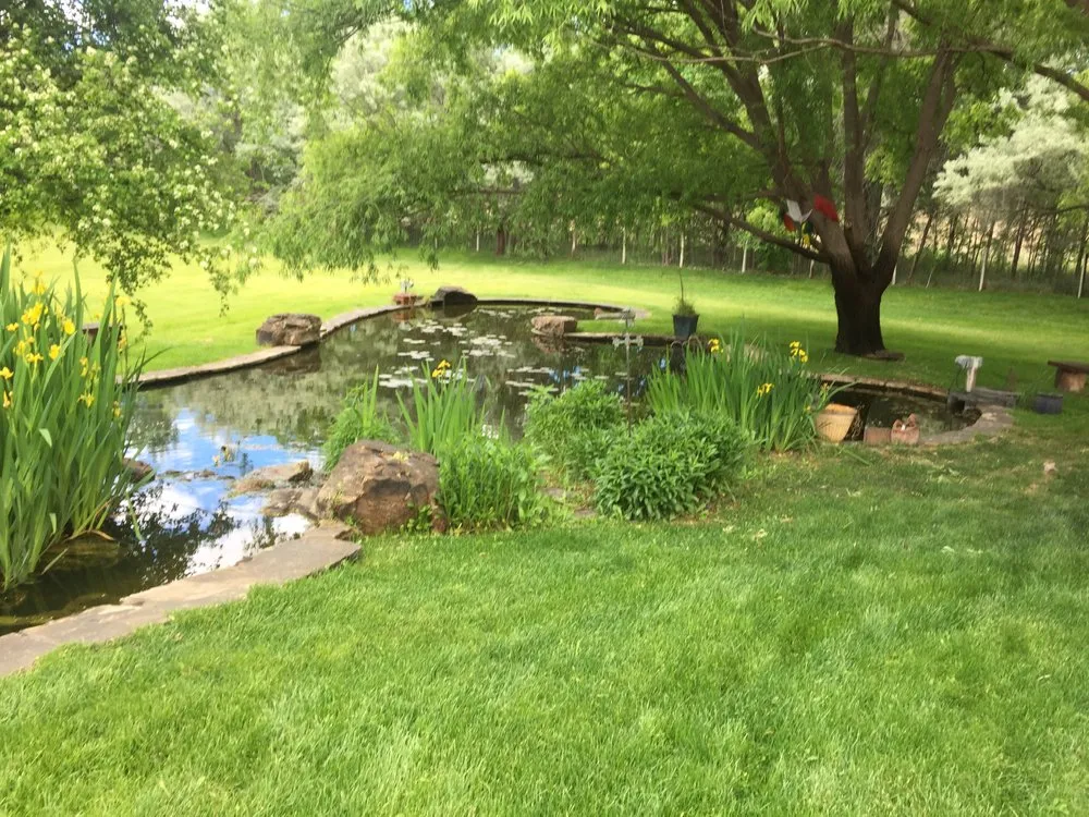 Custom yard maintenance for outdoor upgrades in Albuquerque, NM by Watercolors Aquatic Farms
