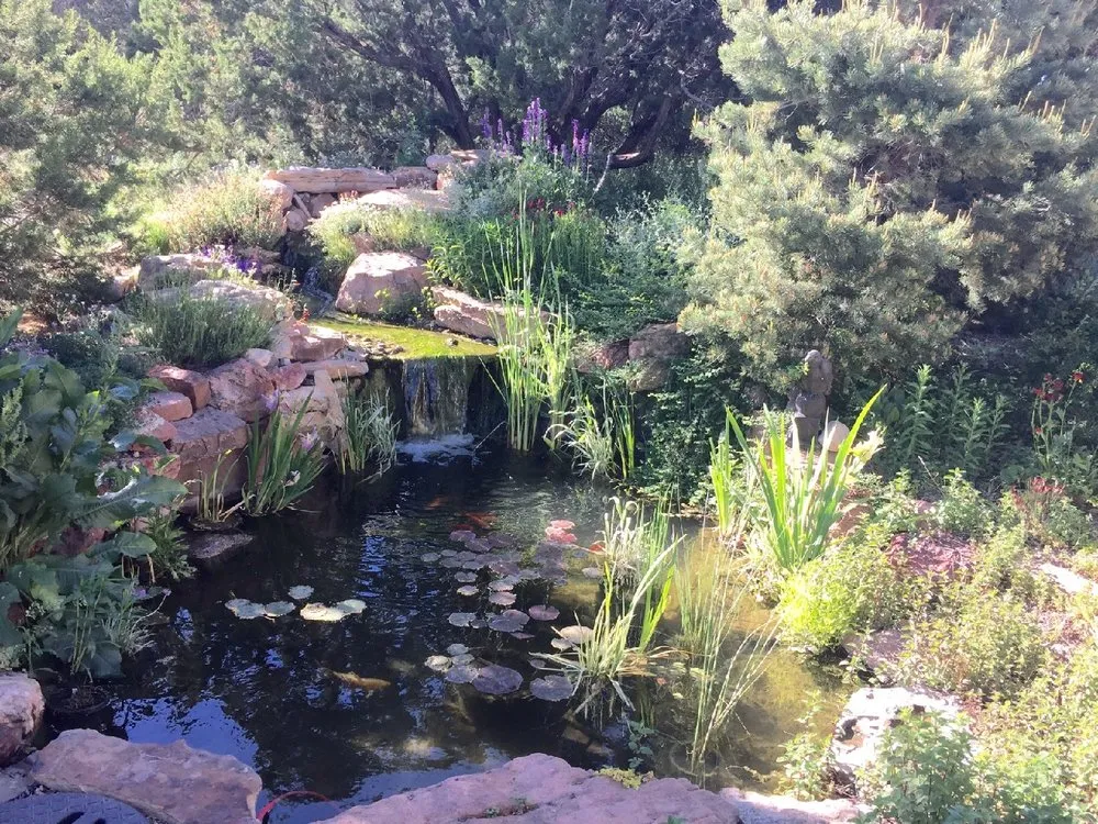 Local landscaping services experts serving Albuquerque, NM - Watercolors Aquatic Farms