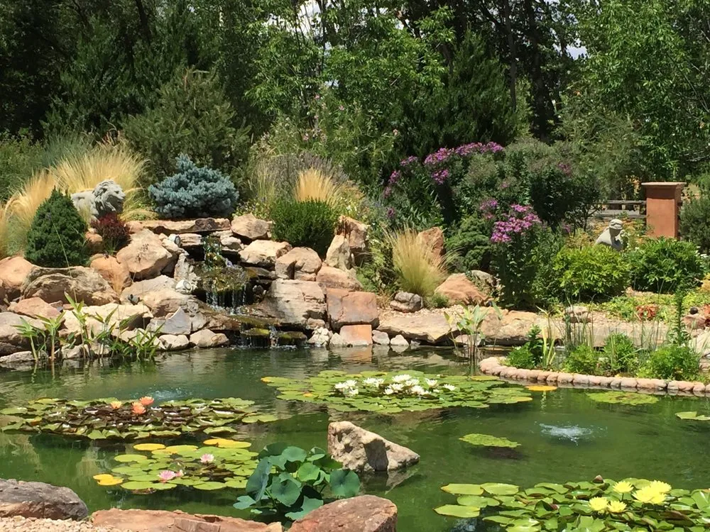 Custom landscaping services for year-round maintenance across Albuquerque, NM - Watercolors Aquatic Farms