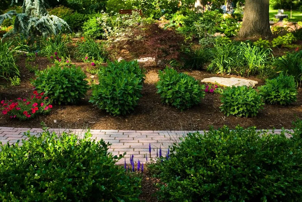 Expert residential landscaping for homes across Mohnton, PA - Waterfall Gardens