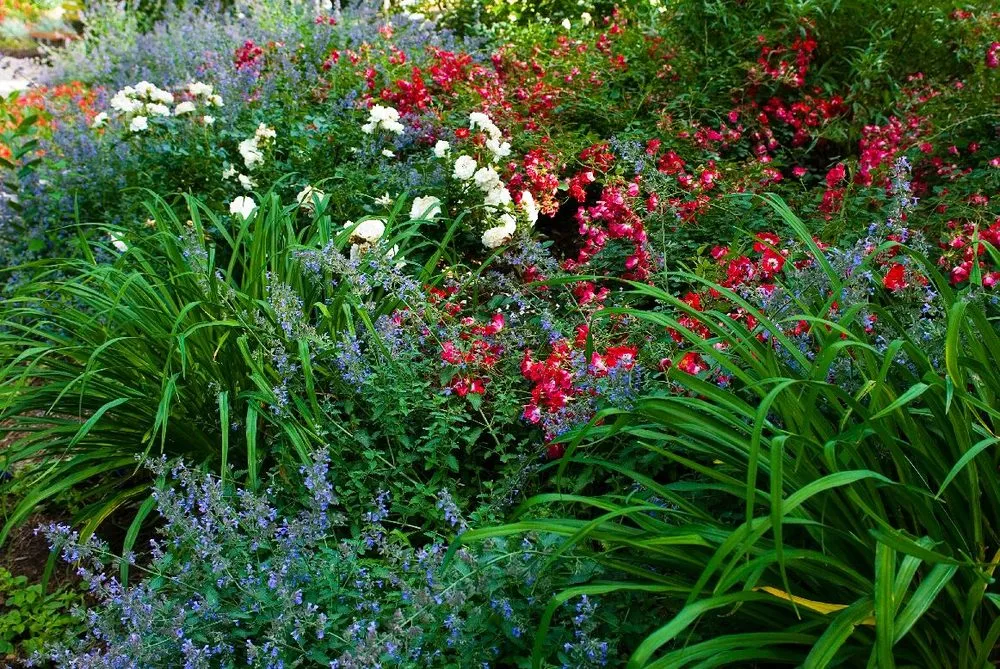 Top-rated yard maintenance experts serving Mohnton, PA - Waterfall Gardens