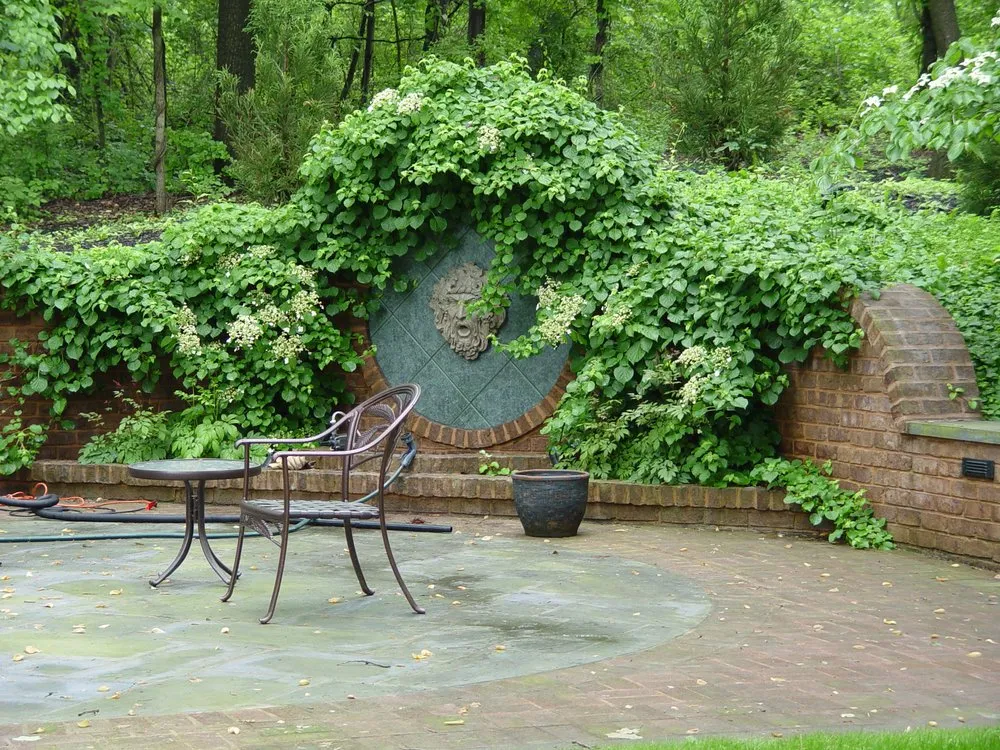 Local lawn care service experts serving Mohnton, PA - Waterfall Gardens