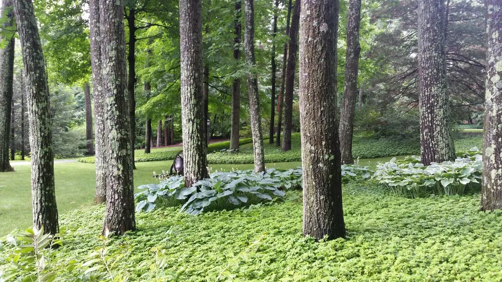 Reliable landscaping services in Tenafly, NJ - Waterfall Landscaping