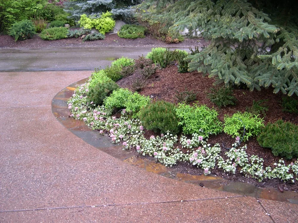 Local yard cleanup service in Rathdrum, ID by Waterfalls Northwest