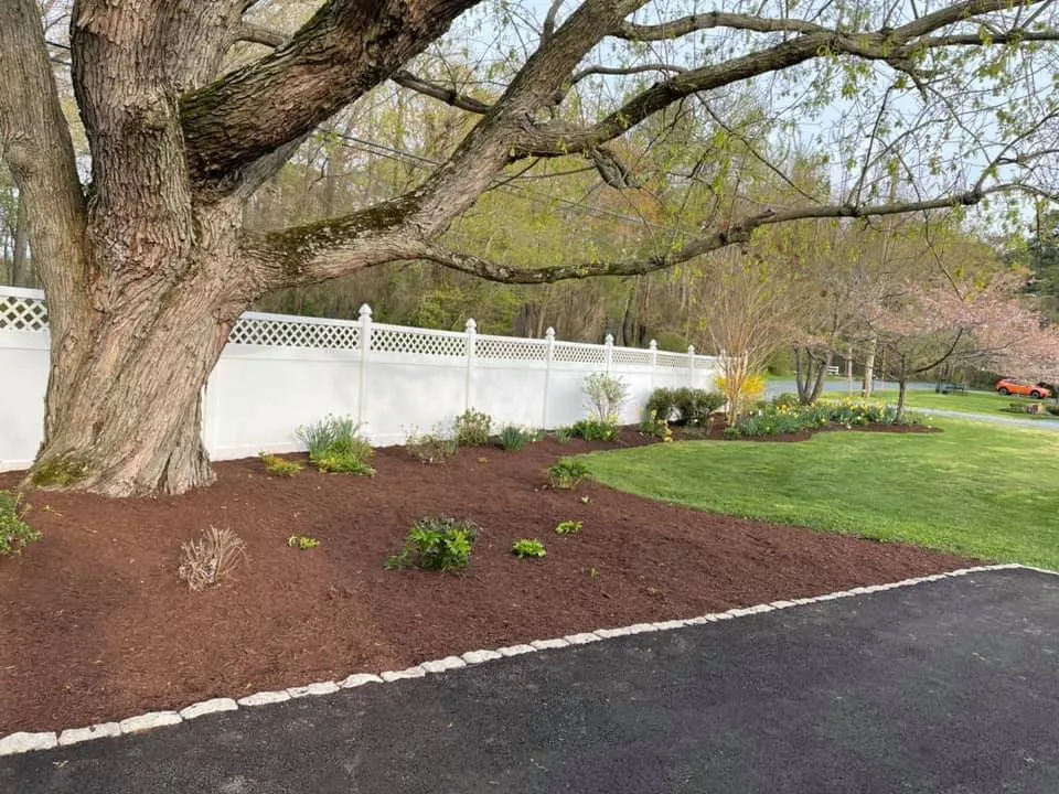 Top-rated lawn care service for beautiful yards across Chester, MD - Waterfront Lawn & Landscape