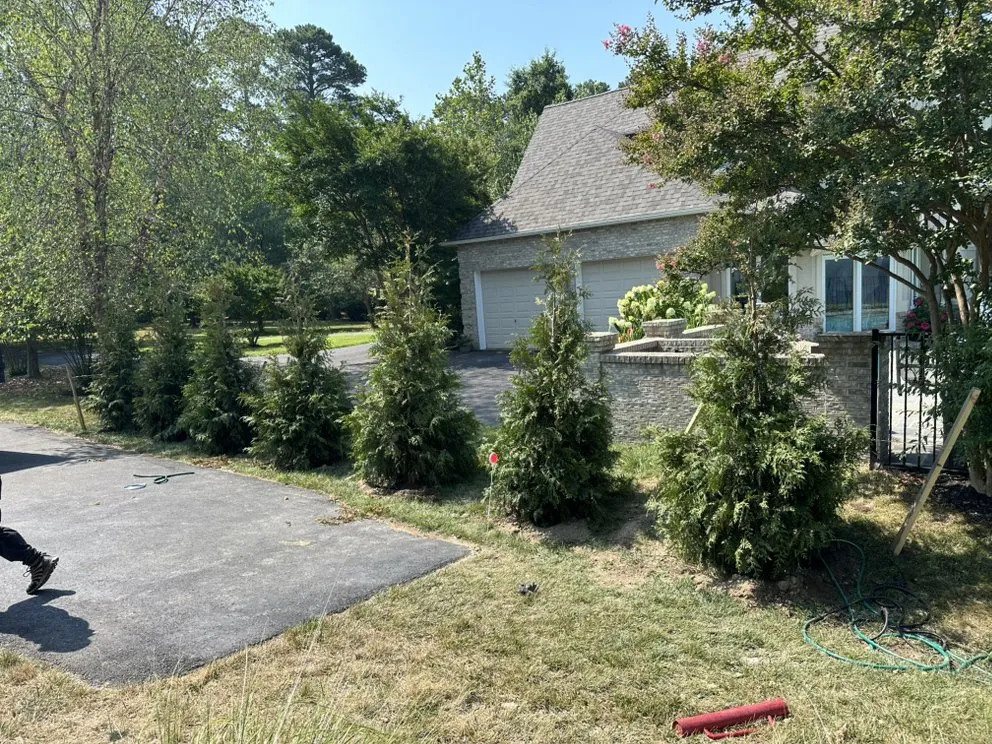 Affordable landscaping services for residential properties across Chester, MD - Waterfront Lawn & Landscape