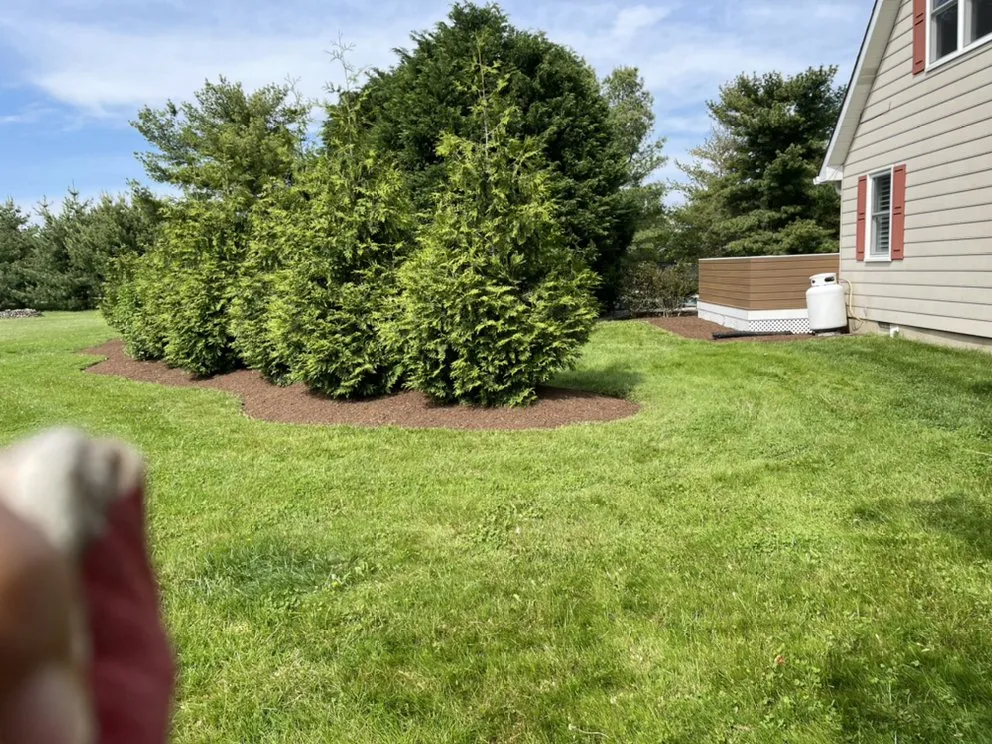 Expert yard maintenance in Chester, MD - Waterfront Lawn & Landscape