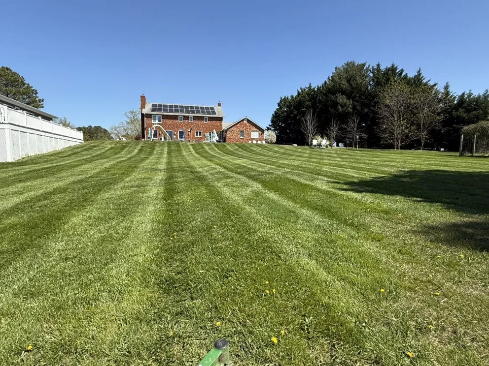 Reliable landscape installation in Chester, MD by Waterfront Lawn & Landscape