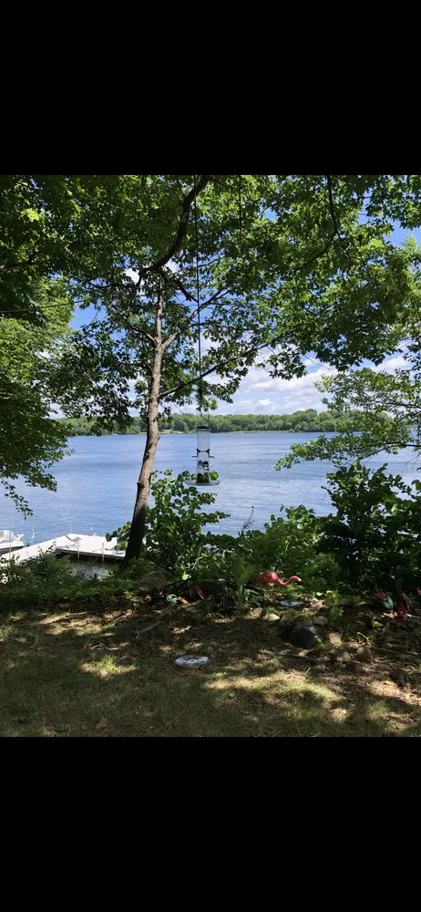 Trusted yard maintenance in Carver, MN - Waterfront Weed Removal