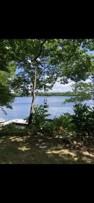 Waterfront Weed Removal