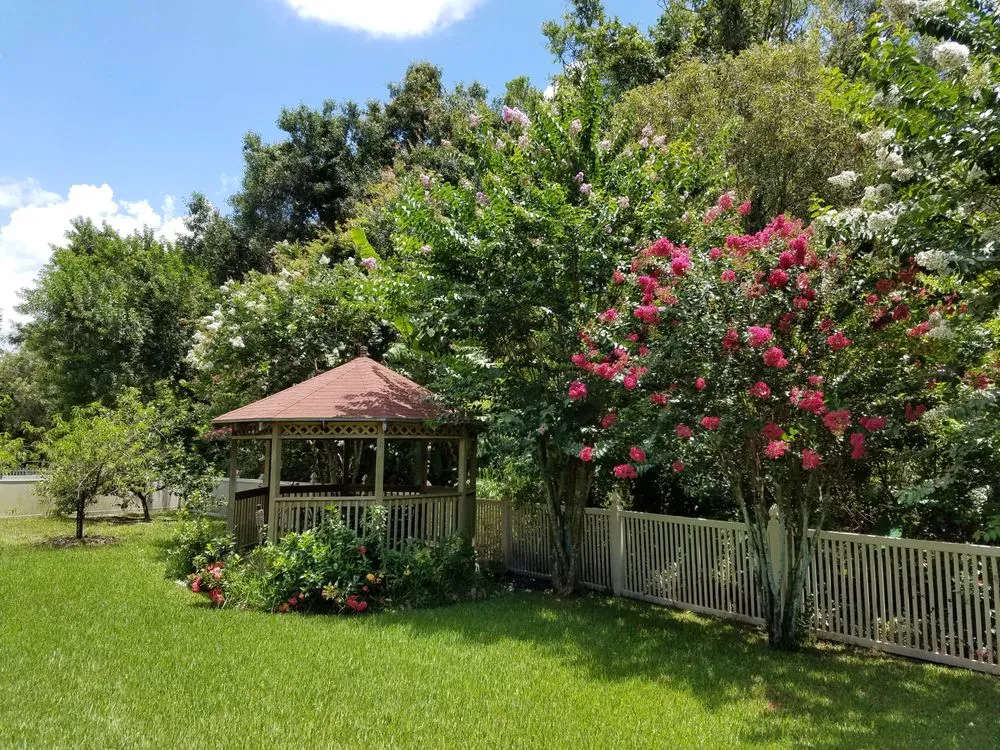 Local lawn mowing service for beautiful yards across Tampa, FL - Watergrass Property Maintenance