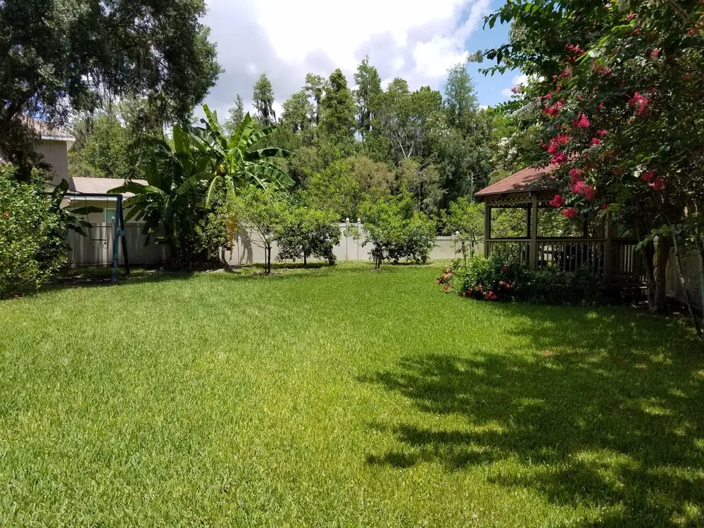 Local residential landscaping for beautiful yards in Tampa, FL by Watergrass Property Maintenance
