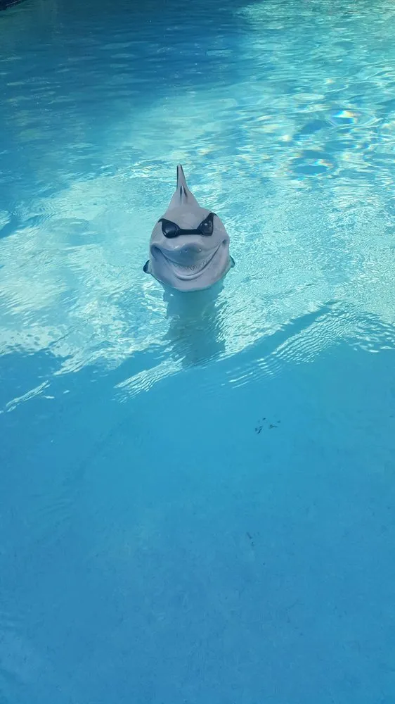 Expert lawn mowing service in Tampa, FL - Watergrass Property Maintenance