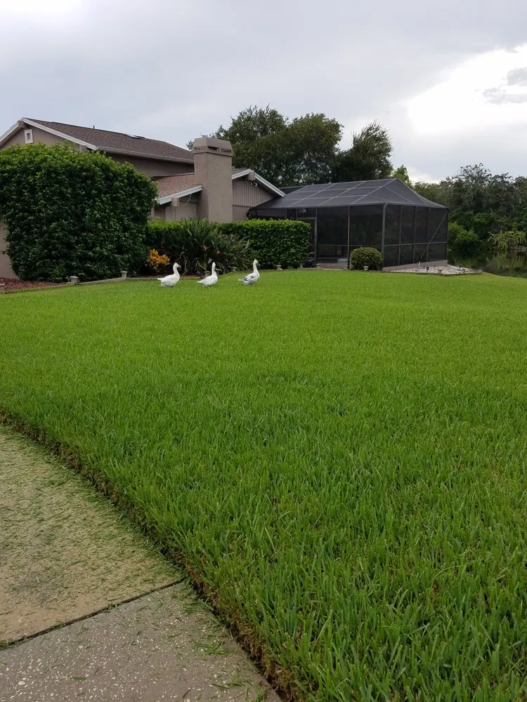 Professional lawn mowing service in Tampa, FL - Watergrass Property Maintenance