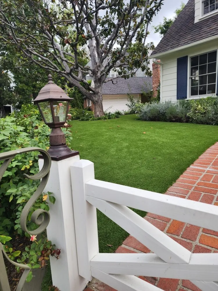 Reliable yard cleanup service experts serving Bakersfield, CA - Waterless Turf