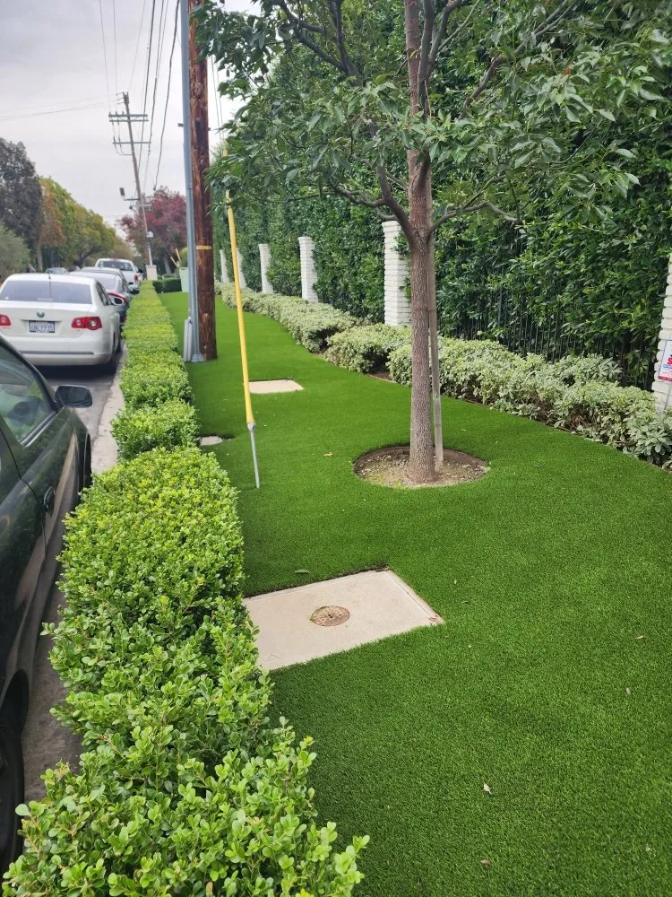 Reliable lawn care service near you in Bakersfield, CA by Waterless Turf