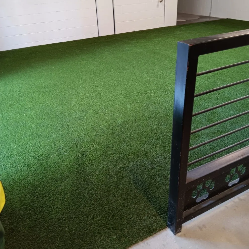 Top-rated residential landscaping for year-round maintenance in Bakersfield, CA by Waterless Turf