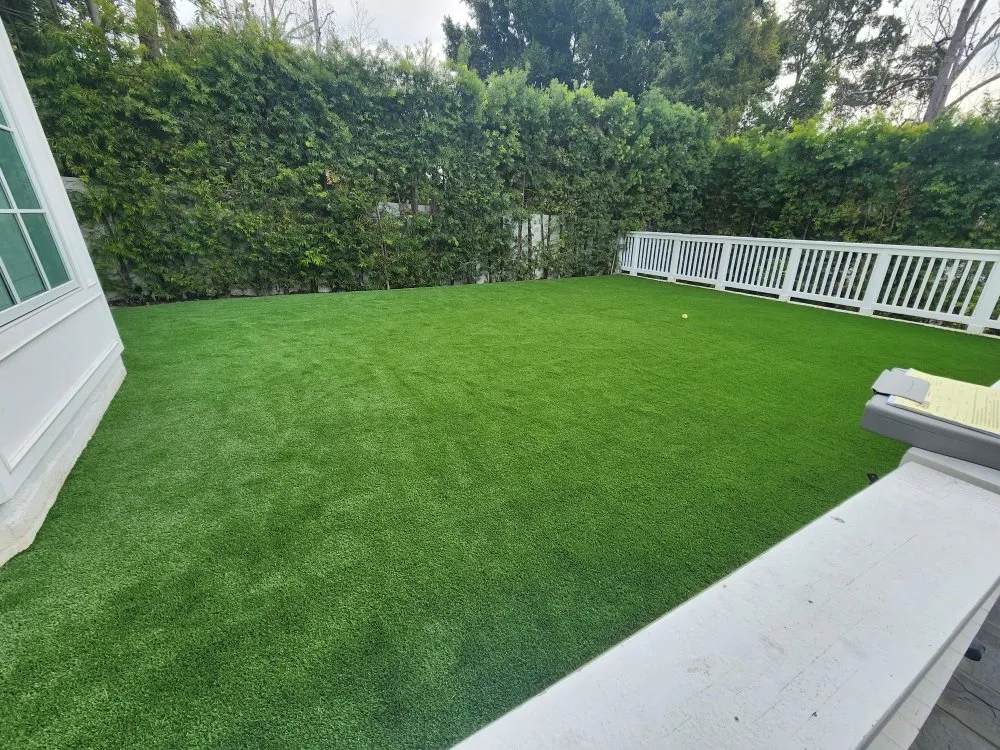 Affordable yard cleanup service for year-round maintenance across Bakersfield, CA - Waterless Turf