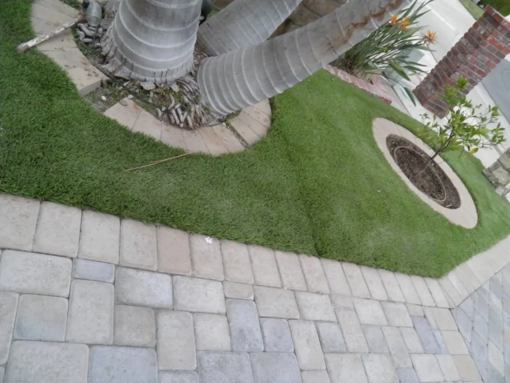 Reliable landscaping services in Bakersfield, CA - Waterless Turf