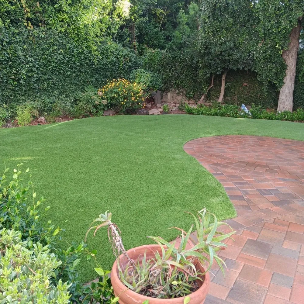 Professional lawn care service for beautiful yards across Bakersfield, CA - Waterless Turf