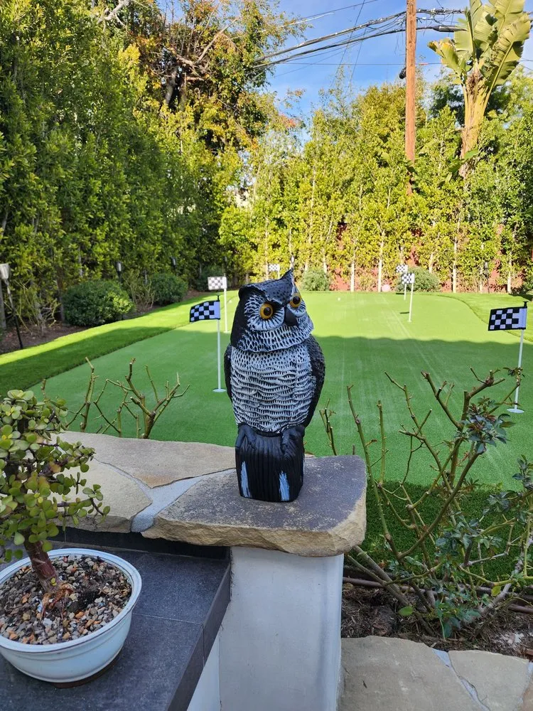 Local landscape installation with custom design across Marina Del Rey, CA - Waterless Turf