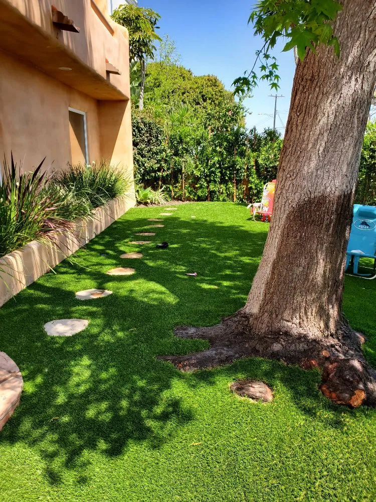 Reliable lawn mowing service in Marina Del Rey, CA - Waterless Turf