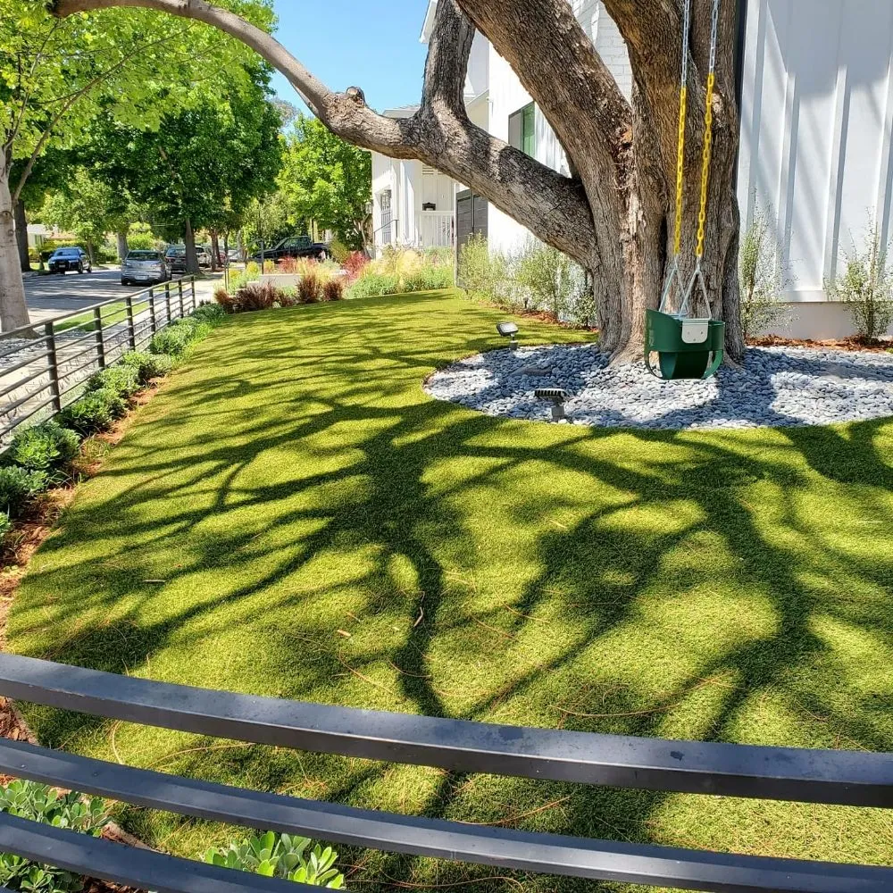 Reliable yard maintenance experts serving Marina Del Rey, CA - Waterless Turf