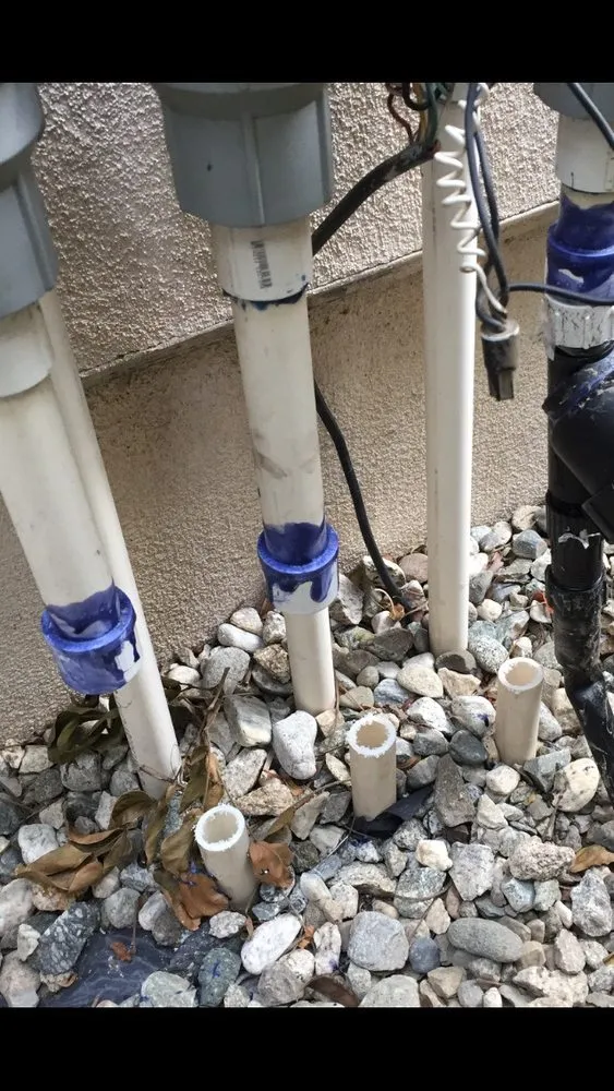 Professional landscaping services for year-round maintenance across Marina Del Rey, CA - Waterless Turf