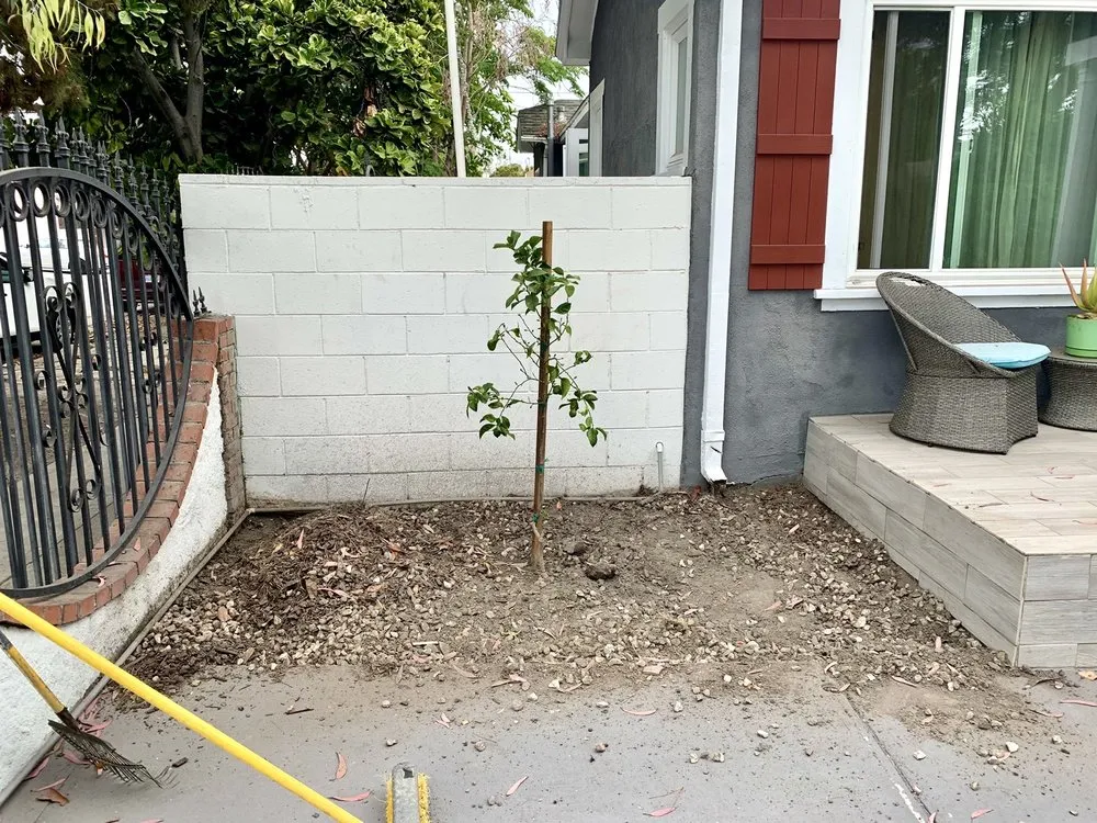 Expert landscape design near you across Marina Del Rey, CA - Waterless Turf