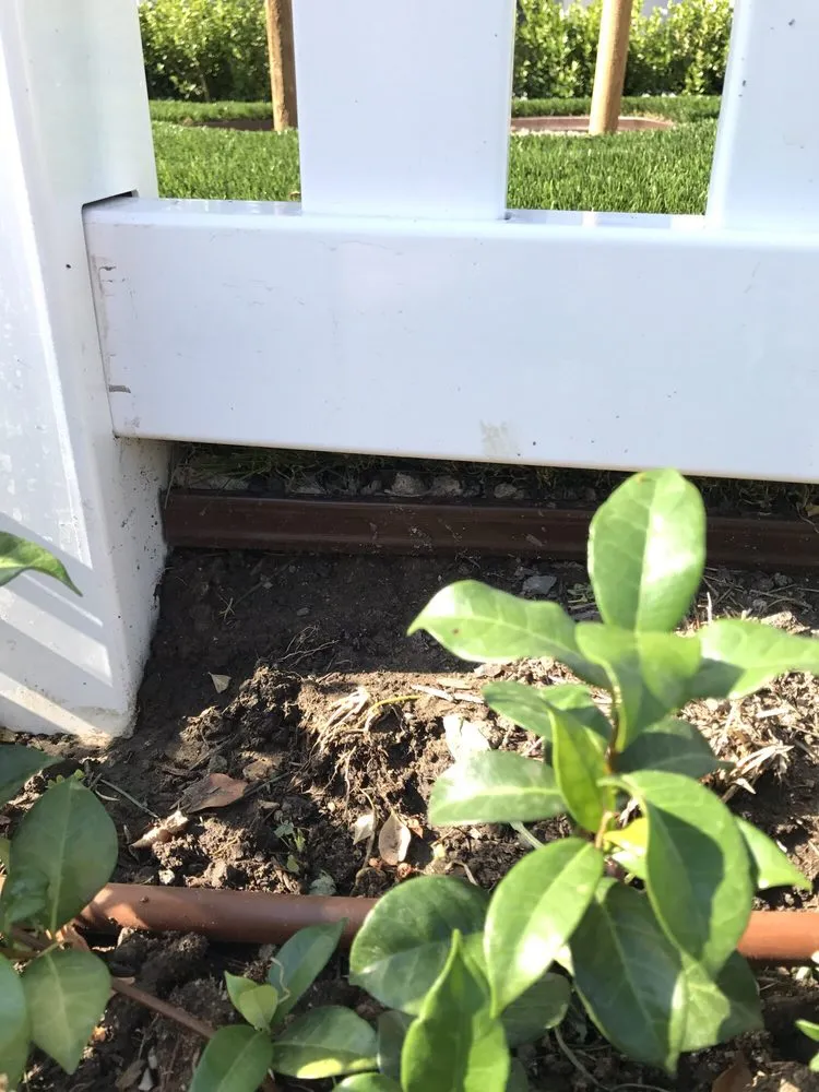 Custom lawn care service with custom design in Marina Del Rey, CA by Waterless Turf