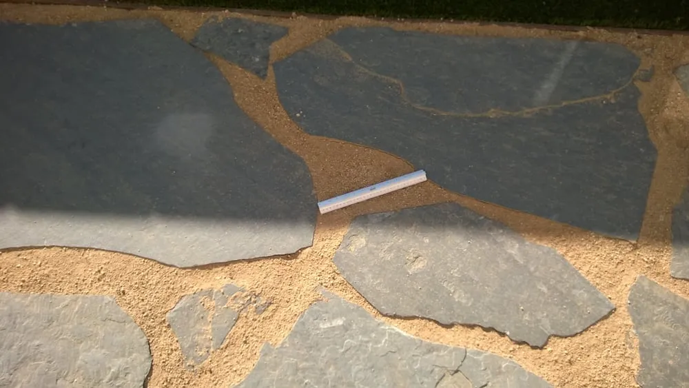 Custom lawn mowing service in Marina Del Rey, CA by Waterless Turf