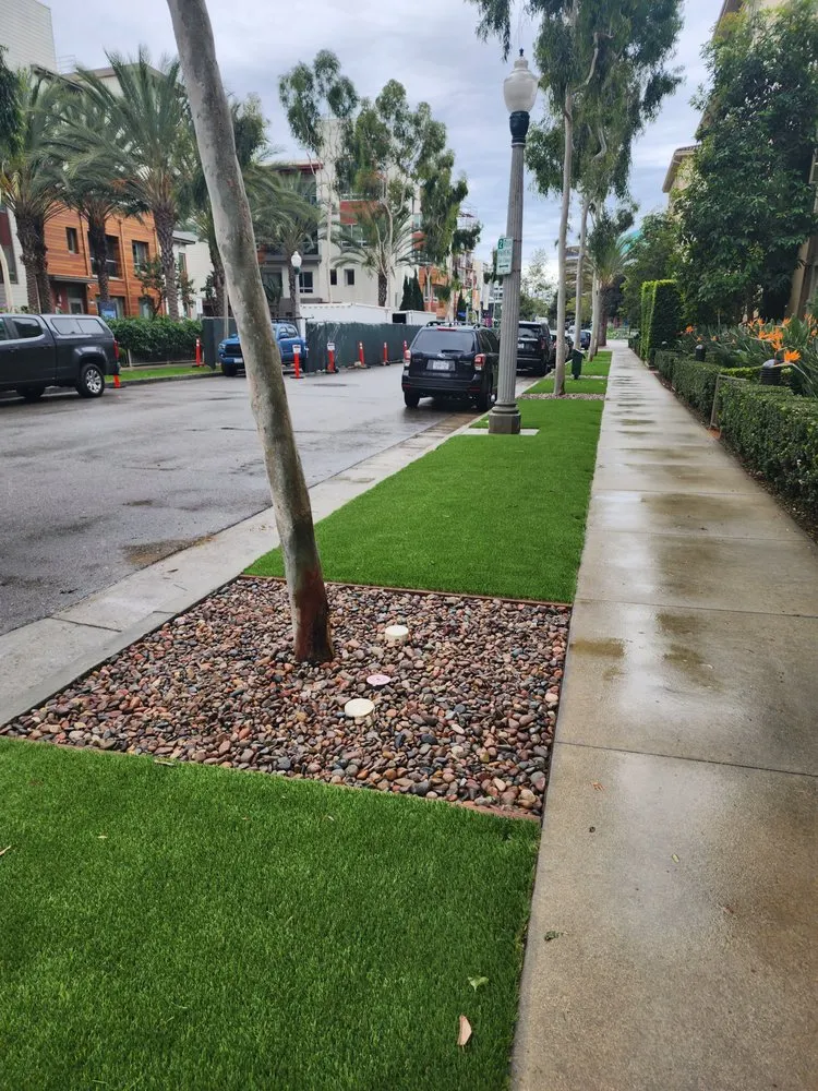 Top-rated yard cleanup service in Thousand Oaks, CA - Waterless Turf