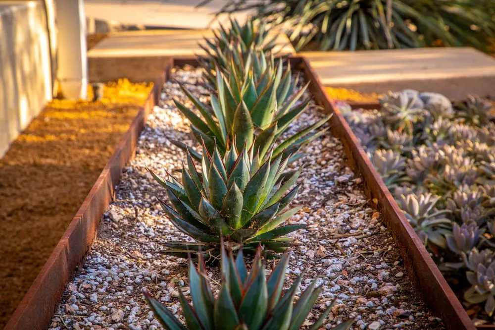 Local outdoor landscaping in Austin, TX by Waterloo Outdoor Design Build