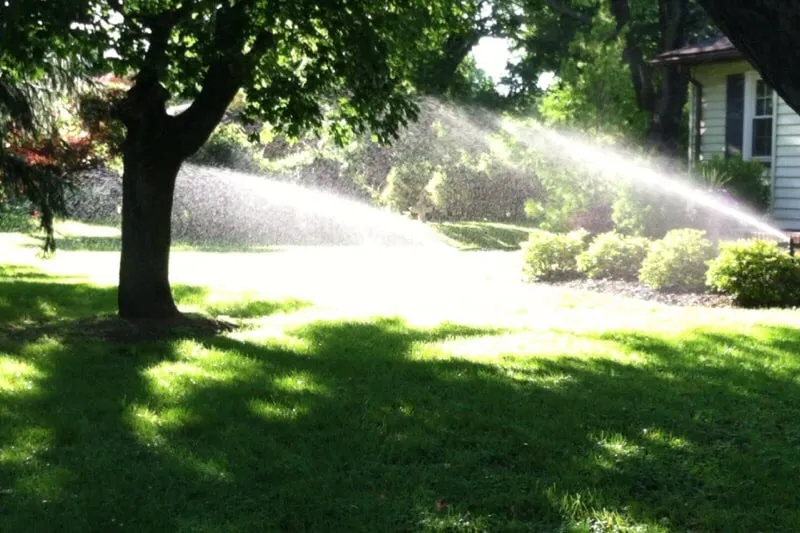 Custom landscape installation in Staten Island, NY by Waterlume Lawn Sprinklers