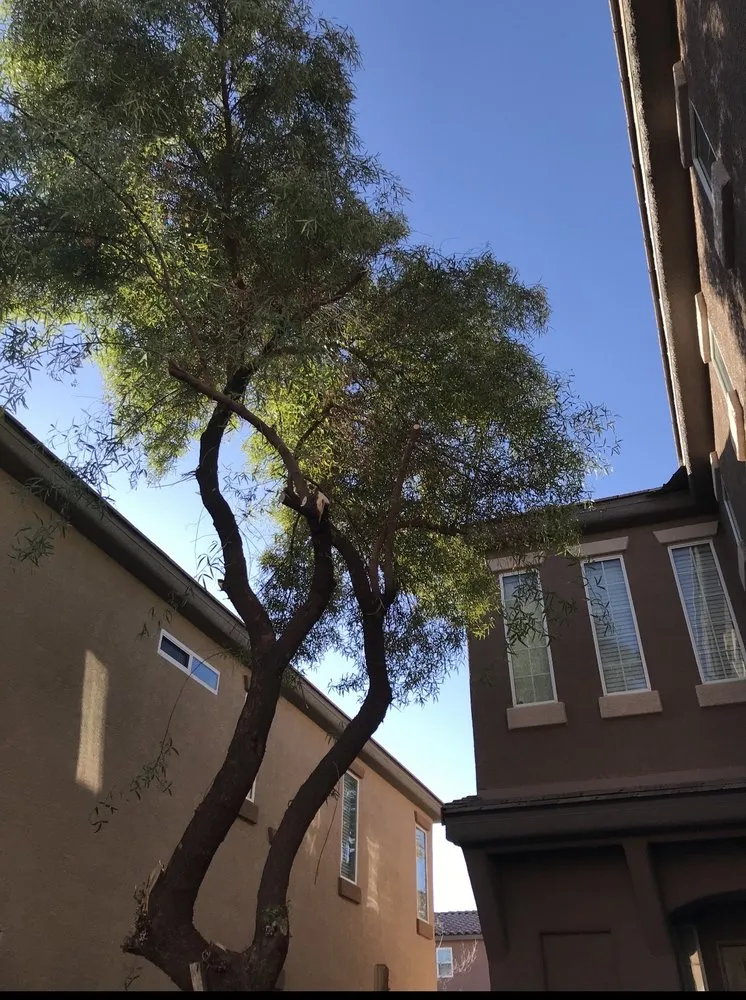 Affordable outdoor landscaping experts serving Las Vegas, NV - Waterproof