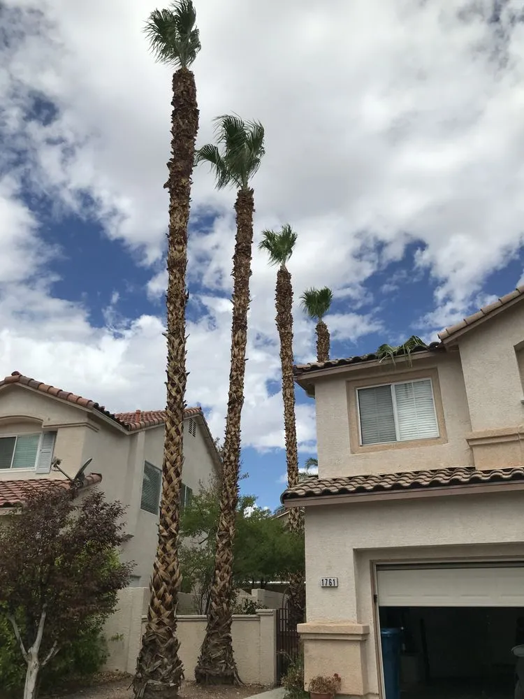 Local lawn mowing service experts serving Las Vegas, NV - Waterproof