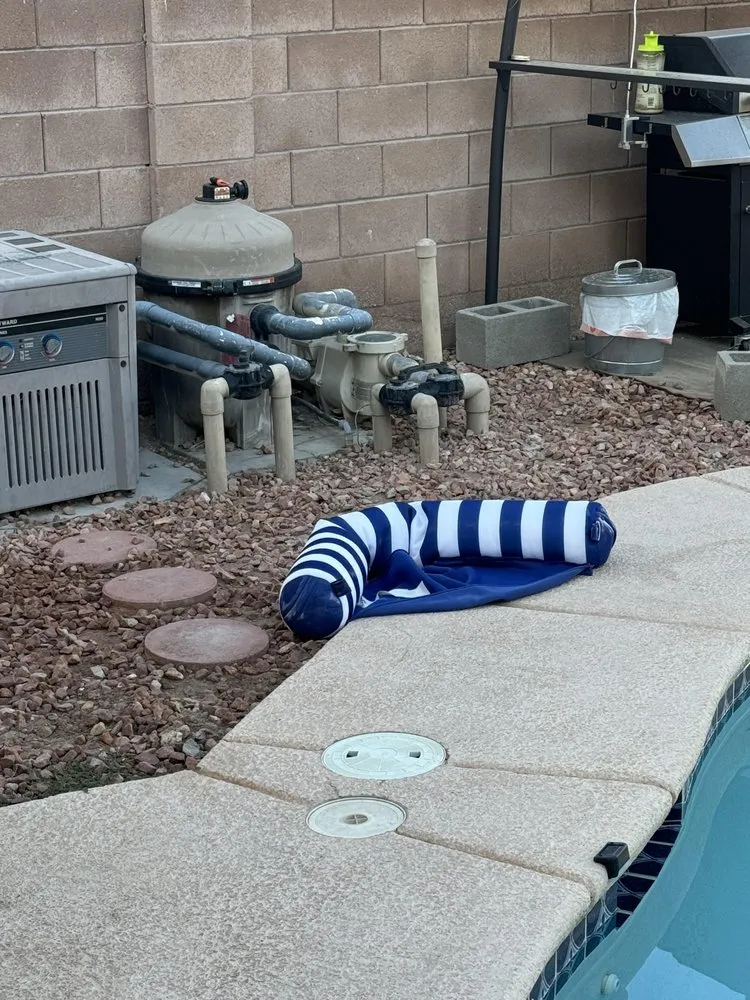 Custom landscape installation in Las Vegas, NV by Waterproof