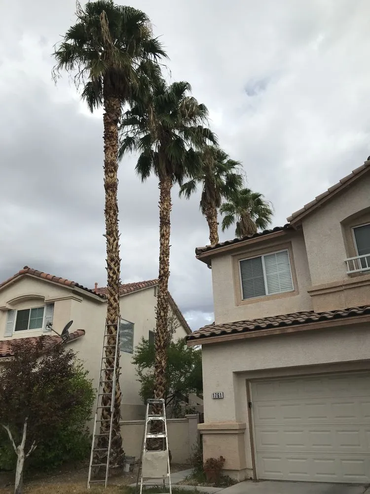 Expert yard maintenance in Las Vegas, NV - Waterproof