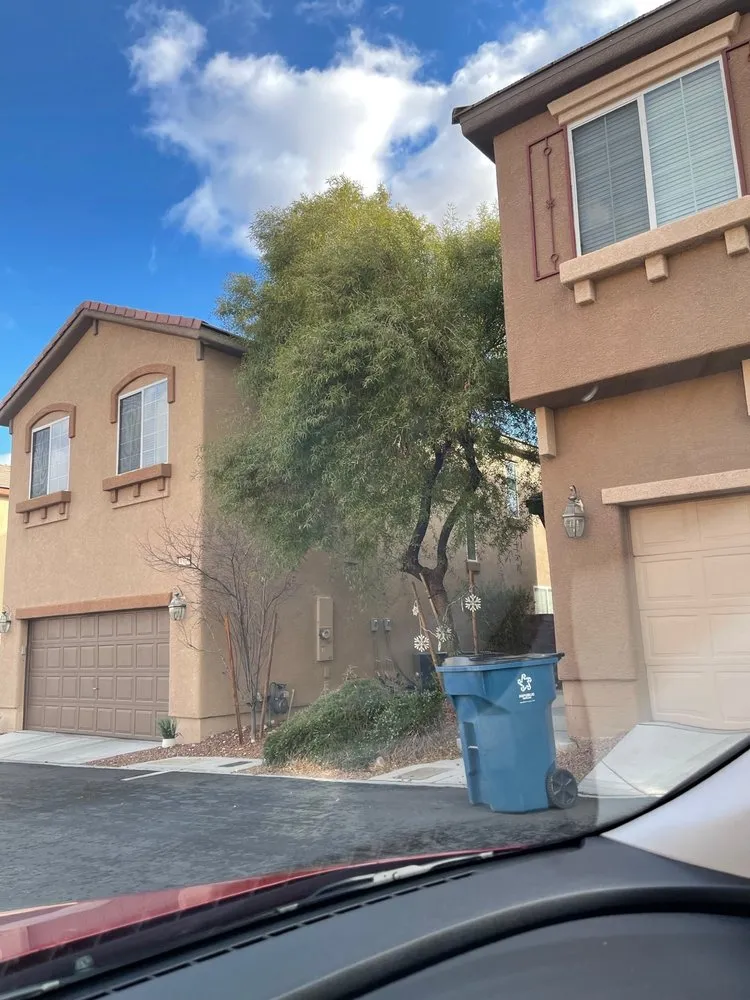 Custom landscaping services in Las Vegas, NV by Waterproof