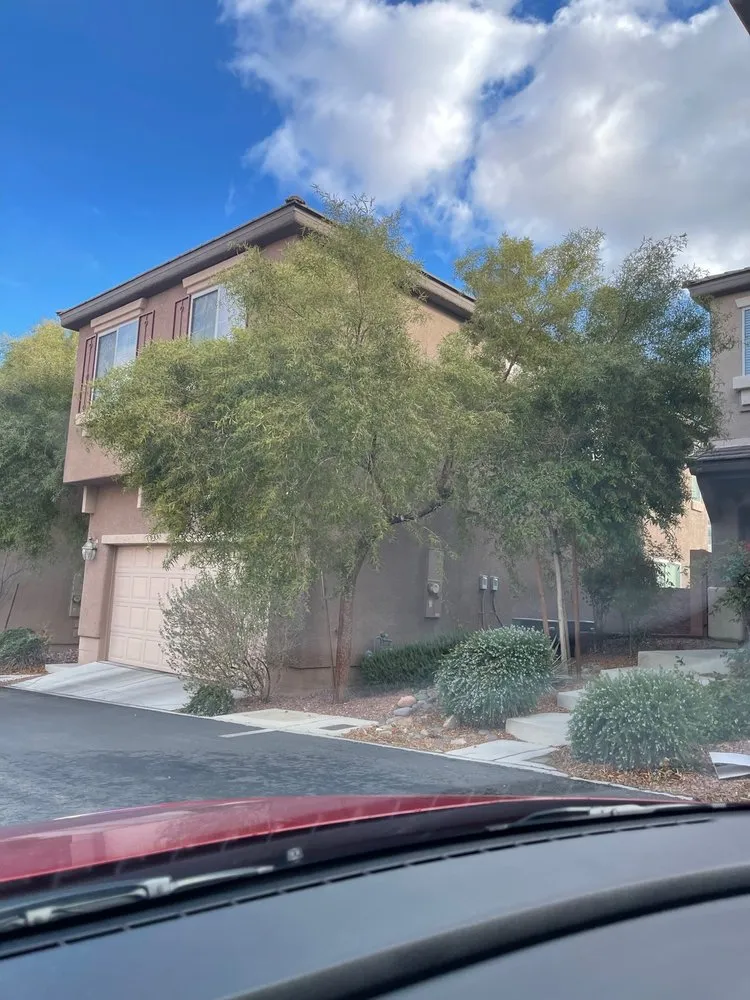 Reliable yard cleanup service for residential properties across Las Vegas, NV - Waterproof