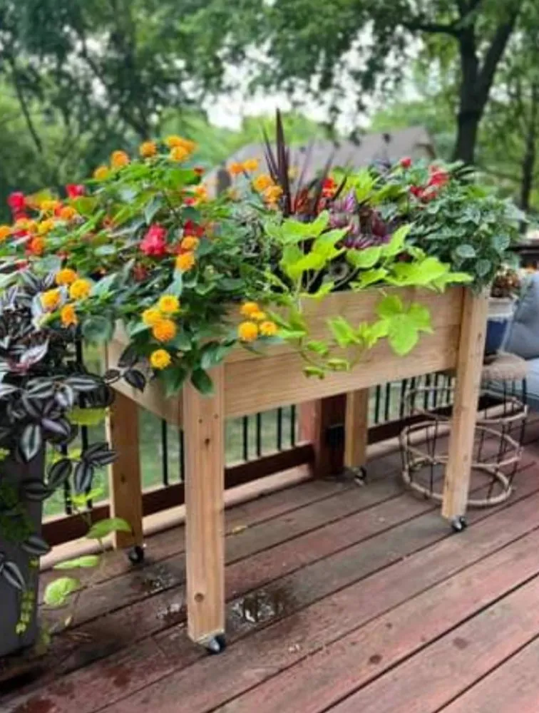 Trusted yard maintenance for year-round maintenance across Wonder Lake, IL - Waters Edge Construction