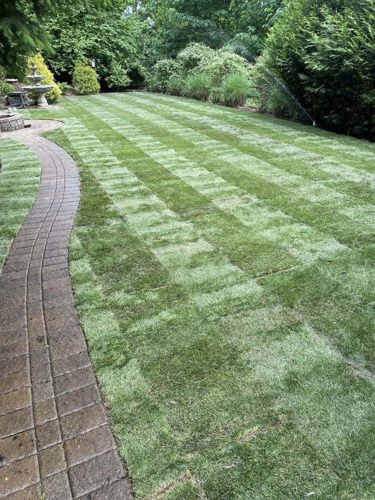 Expert lawn mowing service in Portland, OR - Waters Edge Northwest