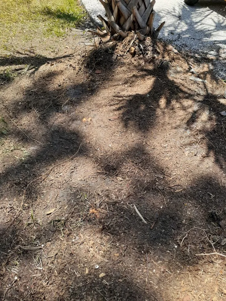 Local garden landscaping for beautiful yards in Tampa Bay, FL by Waters Landscaping